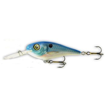 Goldy Troter 6 MBS F