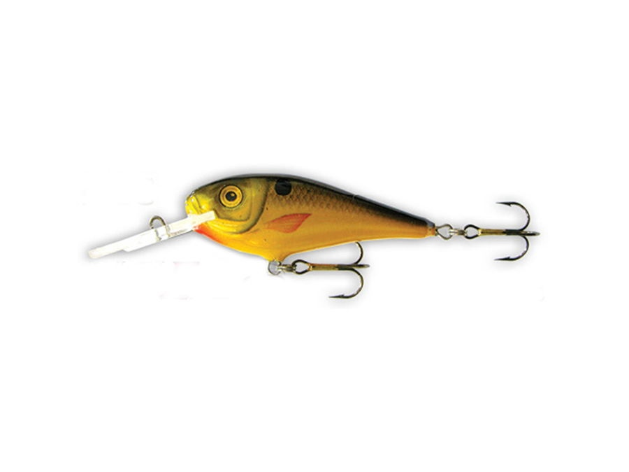 Goldy Troter 6 MCC F Goldy Troter 6 MCC F
