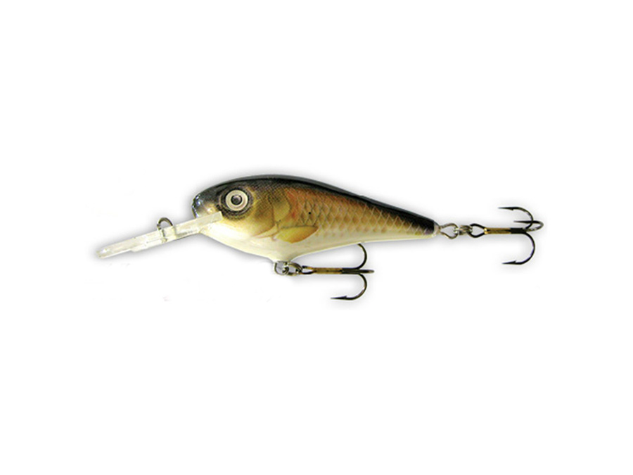 Goldy Troter 6 NV S Goldy Troter 6 NV S