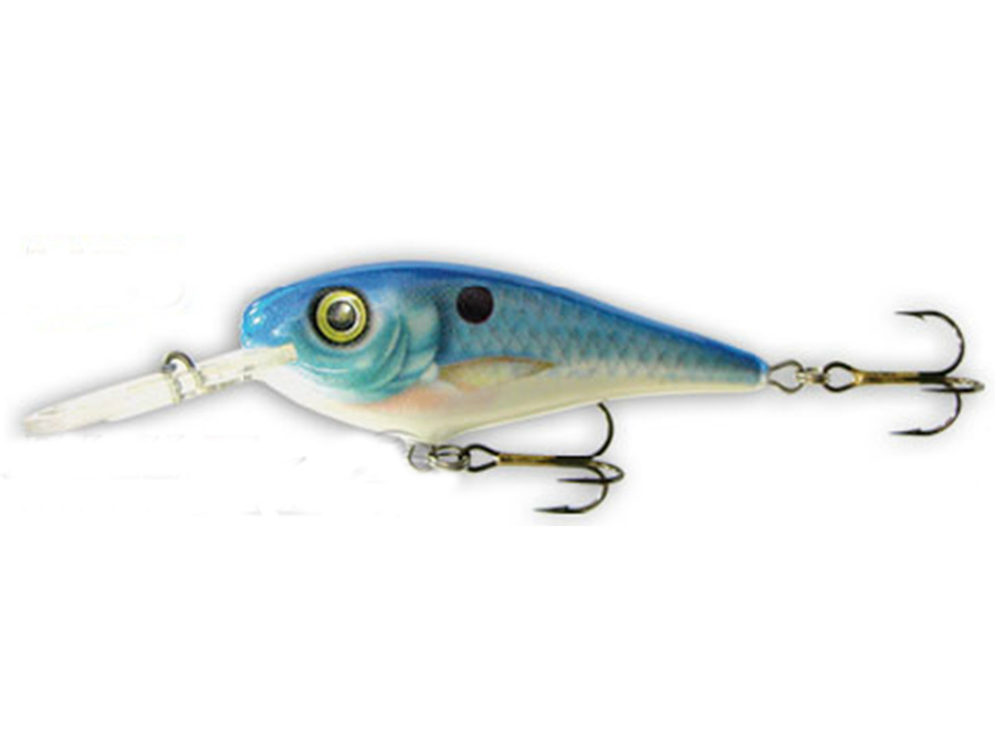 Goldy Troter 7 MBS F Goldy Troter 7 MBS F