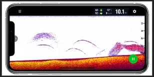 Prikaz ribljih lukova i ikona riba sa dubinom i veličinom u aplikaciji Fish Deeper