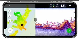 Sonar prikaz struktura, vodene vegetacije i konture dna sa prikazom tvrdoće i sastava
